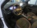 Ford Kuga Plug-In Hybrid ST-Line X ACC Pano LED RFK FGS Blanc - thumbnail 9
