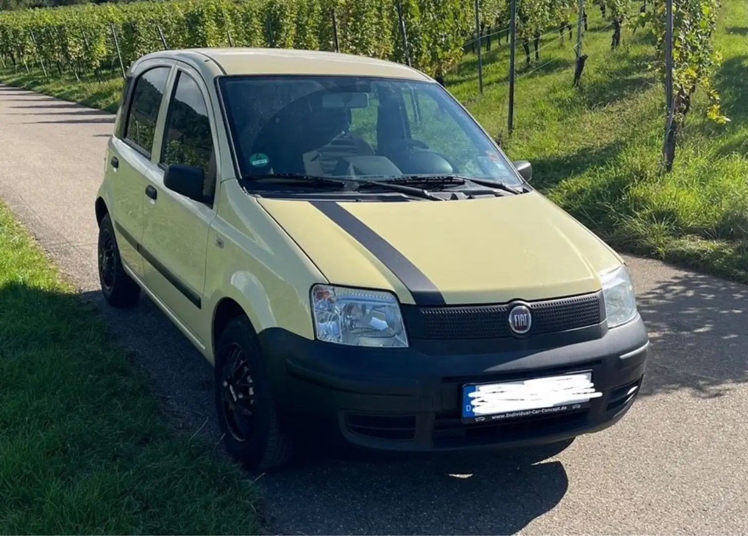 Fiat Panda 1.1 8V Active - 2