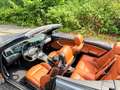BMW M3 E46 Cabrio SMG Harman Kardon Scheckheft 19"M-Felge Gri - thumbnail 6