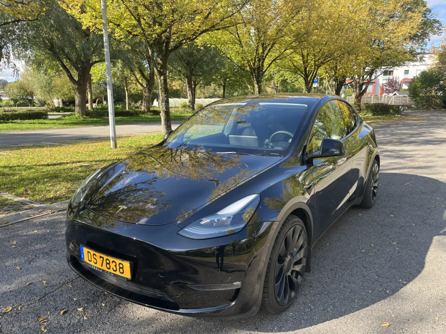 Tesla Model Y 352 GRANDE AUTONOMIE DUAL MOTOR AWD - 1