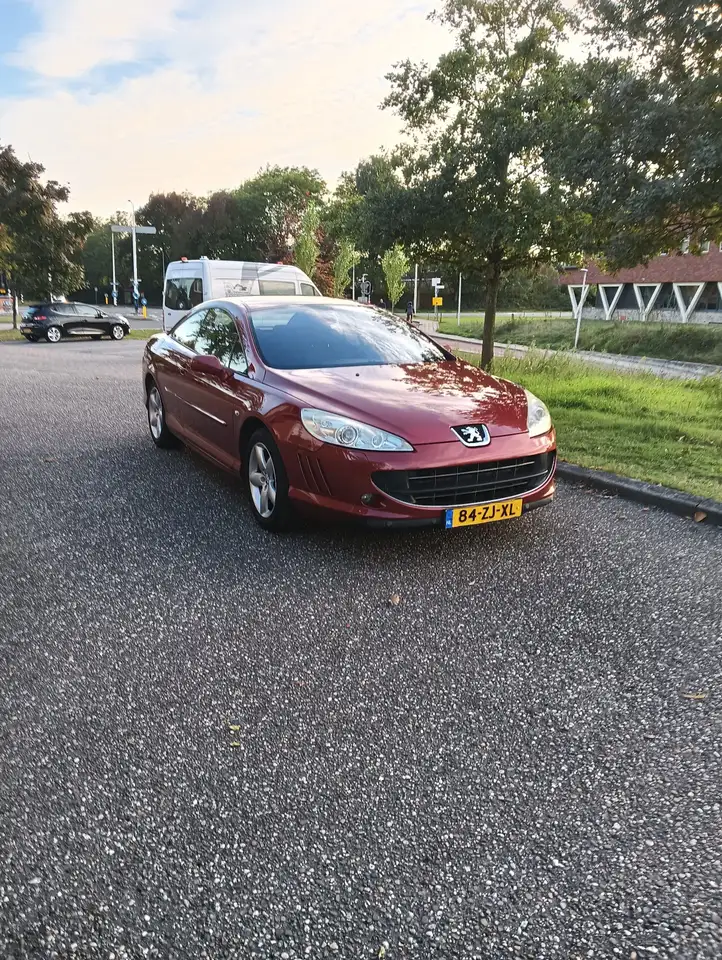 Peugeot 407