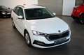 Skoda Octavia Combi 2.0 TDI DSG * Ambition * + Extra´s Wit - thumbnail 11