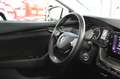 Skoda Octavia Combi 2.0 TDI DSG * Ambition * + Extra´s Wit - thumbnail 16