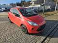 Ford Ka/Ka+ Ambiente - GETRIEBE LAUT - Rot - thumbnail 3