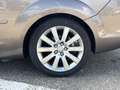 Ford Focus CC Coupé-Cabriolet 1.6-16V Titanium ECC Audio-CD/MP3 Braun - thumbnail 5
