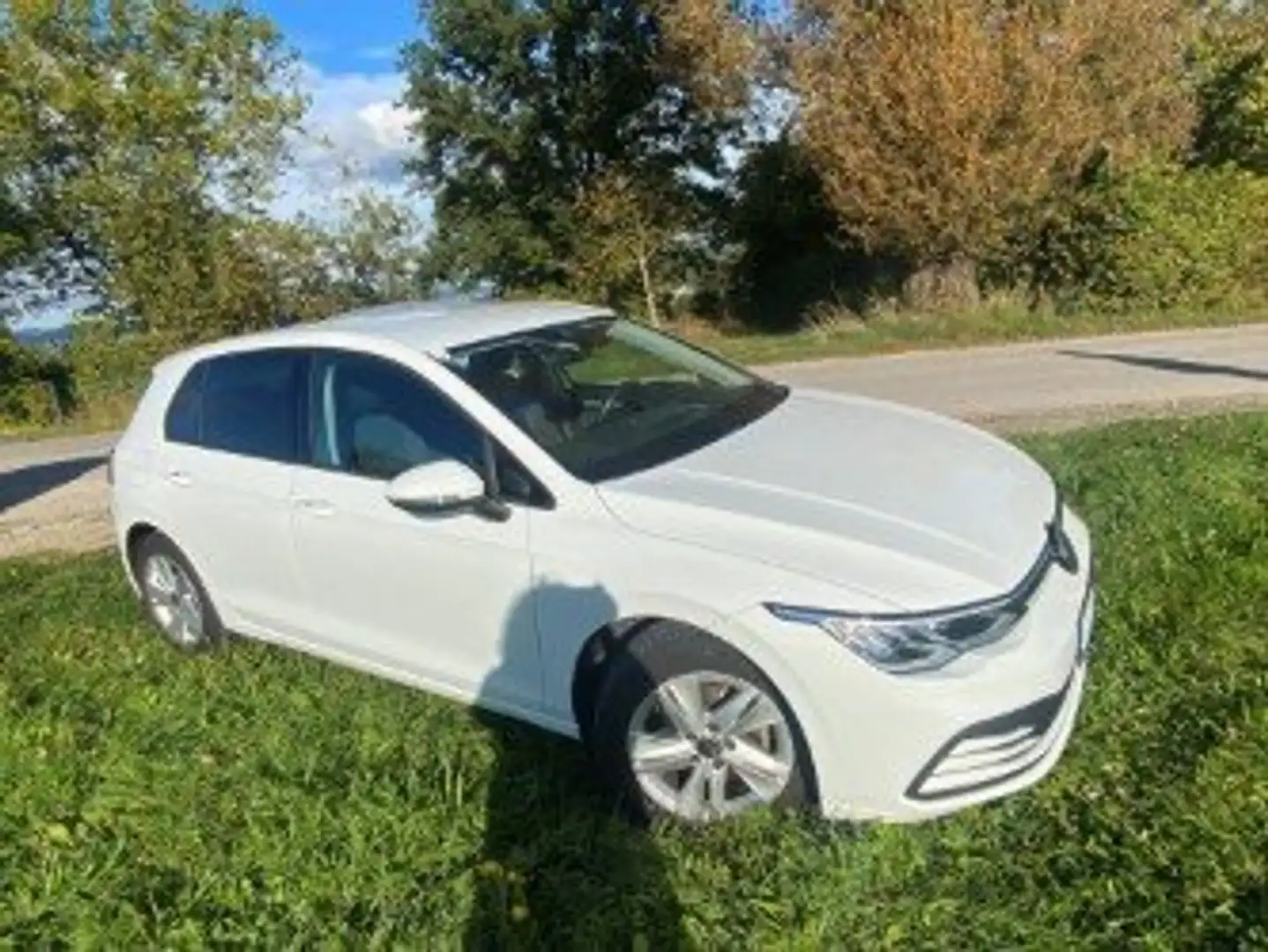 Volkswagen Golf Golf Life 1,0 TSI Life Weiß - 2