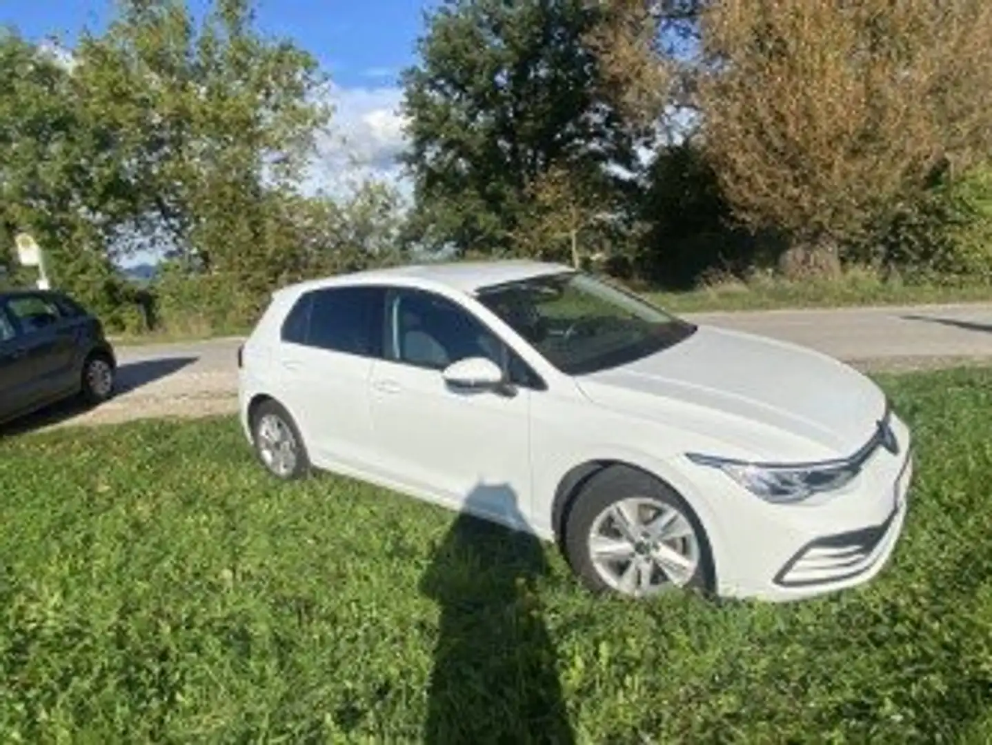 Volkswagen Golf Golf Life 1,0 TSI Life Weiß - 1