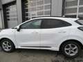 Ford Puma 1,5 EcoBlue ST-Line X Weiß - thumbnail 4