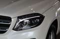 Mercedes-Benz GLS 350 d 4Matic EXCLUSIVE *TETTO*RADAR*UNIPROP* Blanc - thumbnail 20