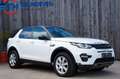 Land Rover Discovery Sport HSE 2.0eD4 Pano Navi Euro6 Blanc - thumbnail 5