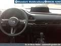 Mazda CX-30 150PS Homura Navigation+Head-UP  - thumbnail 9