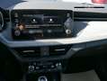 Skoda Scala Selection 1.0 TSI DSG*NAVI-ÜBER-SMARTLINK*PDC-H... Rot - thumbnail 15