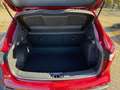 Nissan Qashqai 1.7 N-Way 4x4 dci Rouge - thumbnail 7