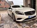 Mercedes-Benz A 180 A 180 CDI BlueEfficiency 2Style (176.012) Weiß - thumbnail 4