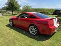 Ford Mustang GT - thumbnail 2