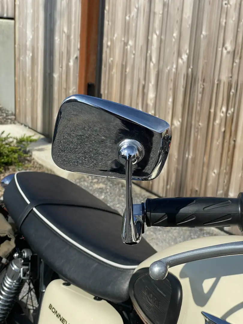 Triumph Bonneville T100 bi-color - 2