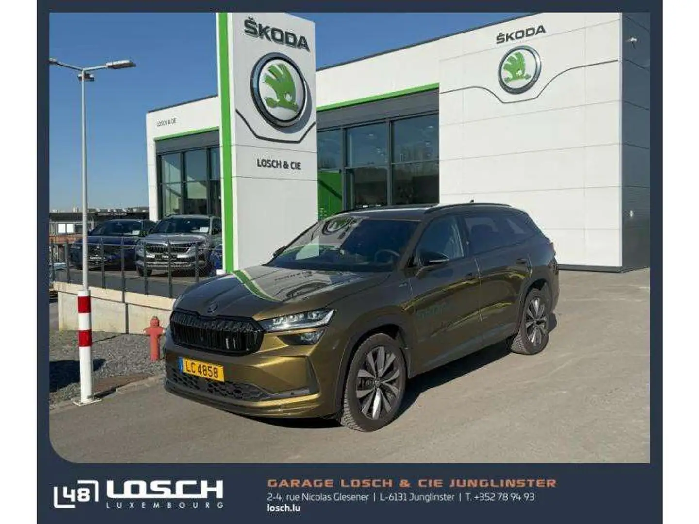 Skoda Kodiaq Sportline Bronzo - 1
