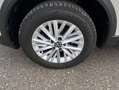 Volkswagen T-Roc 1.5 TSI DSG Life NAVI+LED+AHK+APP-CONNECT+ Grau - thumbnail 10