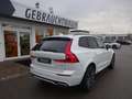 Volvo XC60 T6 R Design Plug-In AWD ACC Pano H.Up. 360° Weiß - thumbnail 7