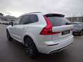 Volvo XC60 T6 R Design Plug-In AWD ACC Pano H.Up. 360° Weiß - thumbnail 5