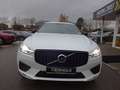 Volvo XC60 T6 R Design Plug-In AWD ACC Pano H.Up. 360° Weiß - thumbnail 10