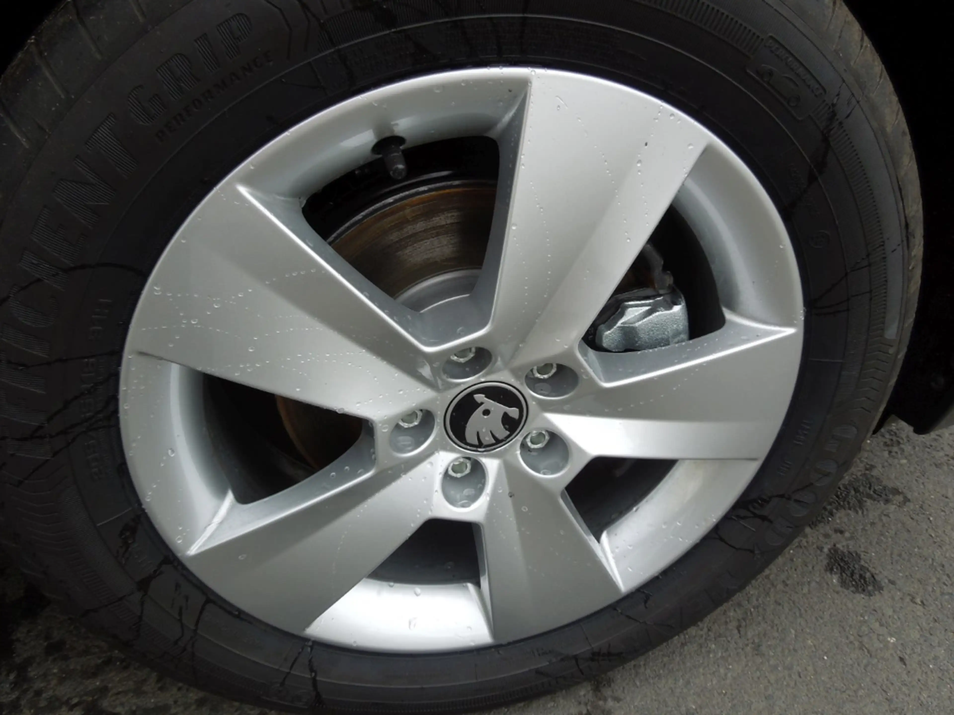 Skoda Scala 1.0 TSI Selection/LED/Sitzheizung/Kamera — photo 13