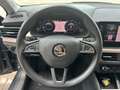 Skoda Kamiq 1.6 tdi Style 115cv Grau - thumbnail 12