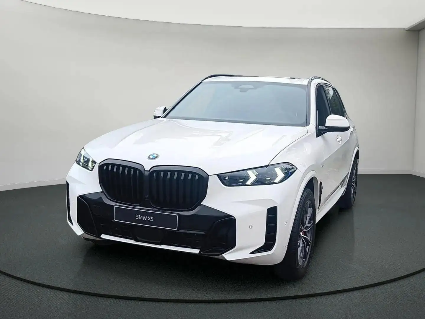 BMW X5 xDrive30d M Sport package Innovationsp. Panorama Білий - 1