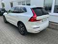 Volvo XC60 B5 Diesel AWD Autom. Inscription GARANTIE Bianco - thumbnail 4