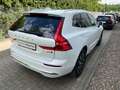 Volvo XC60 B5 Diesel AWD Autom. Inscription GARANTIE Bianco - thumbnail 6