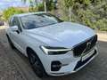 Volvo XC60 B5 Diesel AWD Autom. Inscription GARANTIE Bianco - thumbnail 3
