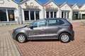 Volkswagen Polo Polo 1.4 TDI 5p. Trendline Argento - thumbnail 8