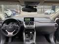 Lexus NX 300 Hybrid 4WD Sport Gris - thumbnail 14