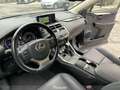 Lexus NX 300 Hybrid 4WD Sport Gris - thumbnail 13