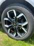 Ford Puma Puma 1.0 EcoBoost Hybrid ST-LINE Gris - thumbnail 15