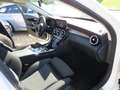 Mercedes-Benz C 220 d T Avantgarde *1.HAND *KAMERA *NIGHT PAKET Blanc - thumbnail 10
