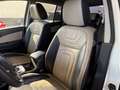 Renault Koleos 2.0 dci SL Carving Cup 4x4 150cv fap CAMBIO AUTO Bianco - thumbnail 6