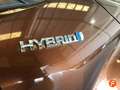 Toyota C-HR 125H Active Marrón - thumbnail 12