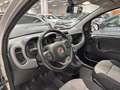 Fiat Panda 1.2 69cv E6 Lounge Grigio - thumbnail 8
