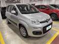 Fiat Panda 1.2 69cv E6 Lounge Grigio - thumbnail 5