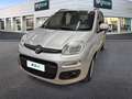 Fiat Panda 1.2 69cv E6 Lounge Grigio - thumbnail 1