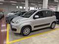 Fiat Panda 1.2 69cv E6 Lounge Grigio - thumbnail 2