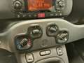 Fiat Panda 1.2 69cv E6 Lounge Grigio - thumbnail 14