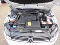 Volkswagen Polo Weiß - thumbnail 21