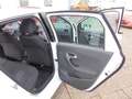 Volkswagen Polo Weiß - thumbnail 17