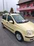 Fiat Panda Panda 1.2 Dynamic Gpl Meccanica RIPRISTINATA Amarillo - thumbnail 3