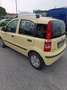 Fiat Panda Panda 1.2 Dynamic Gpl Meccanica RIPRISTINATA Amarillo - thumbnail 6