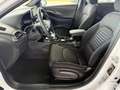 Hyundai i30 Fastback Go Plus 1.5 TGDI 48V DCT / Panoramadach / Weiß - thumbnail 5