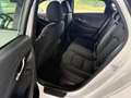 Hyundai i30 Fastback Go Plus 1.5 TGDI 48V DCT / Panoramadach / Weiß - thumbnail 6