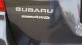 Subaru OUTBACK Sport 150 PS Leder Siyah - thumbnail 14